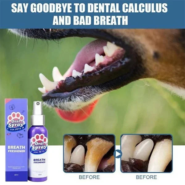 Pet Teeth Cleaning Spray